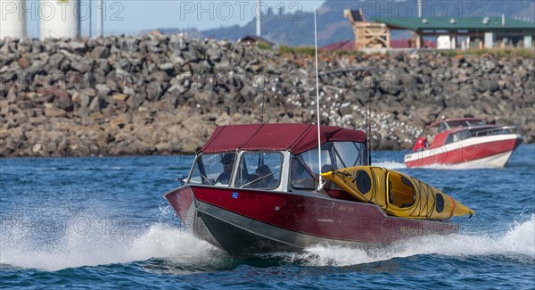 Boats in the harbour of Homer