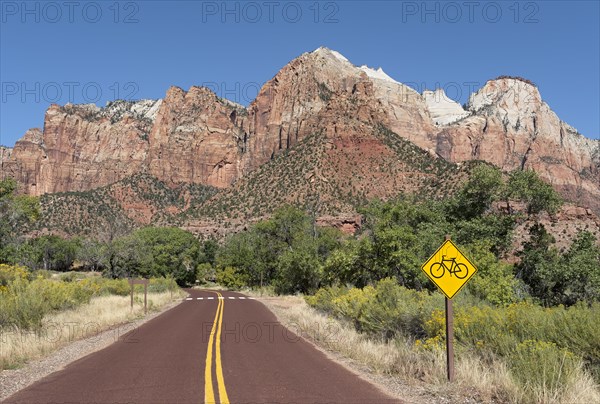 Road in Zion Canyon