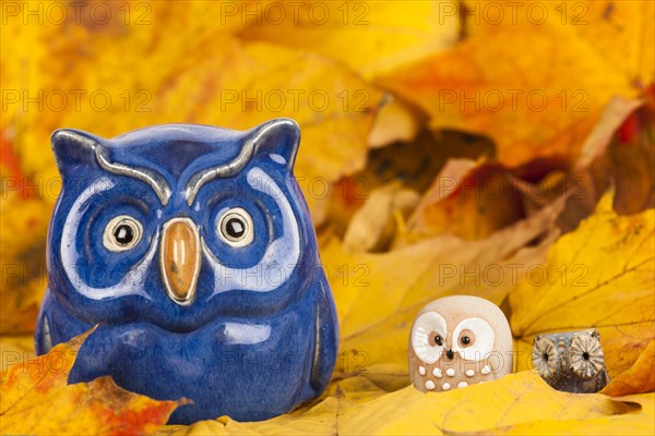 Owl figures on autumn leaves