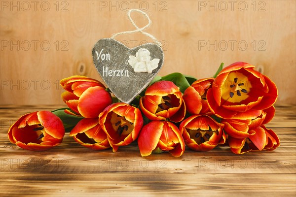 Tulips with heart