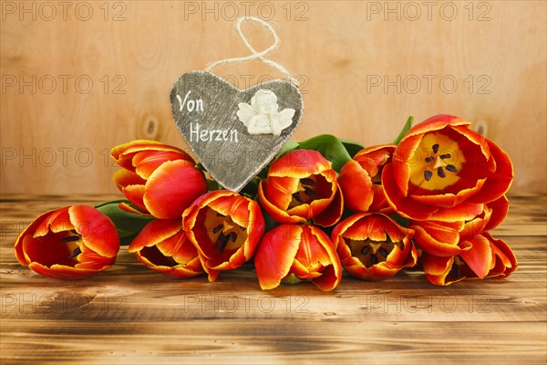 Tulips with heart