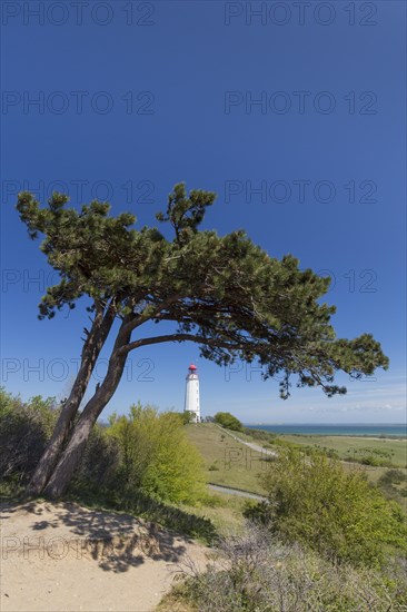 Dornbusch Lighthouse