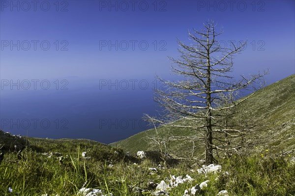 Llogara National Park in the Ceraunian Mountains in southern Albania