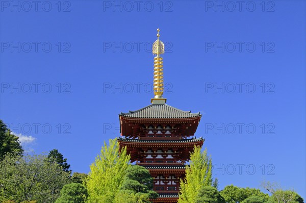 Takahata Fudo temple five story pagoda Tokyo Japan