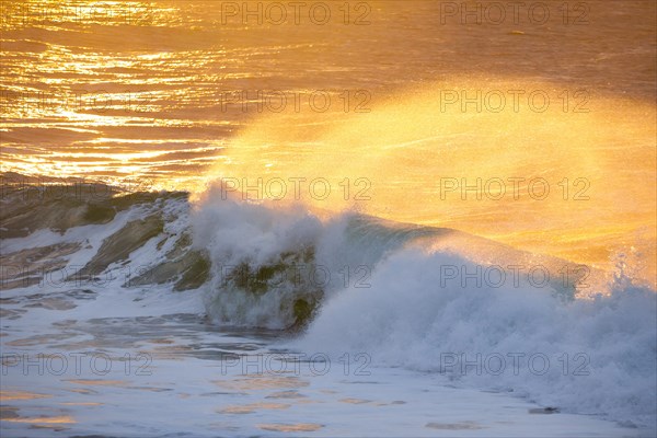 Large wave backlit