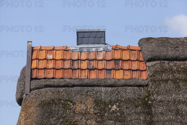 Thatched roof