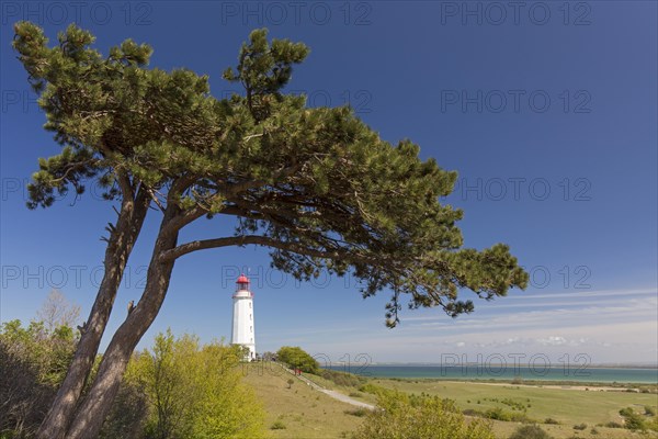 Dornbusch Lighthouse