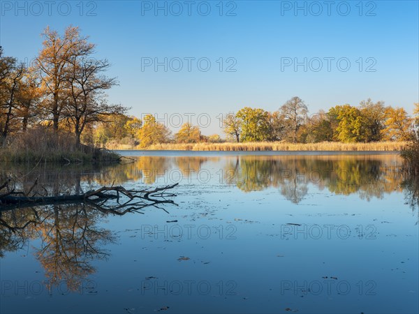 Autumn at Lake Kuehnau