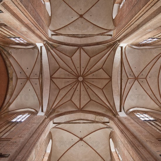 View of the star vault above the crossing in the Georgenkirche