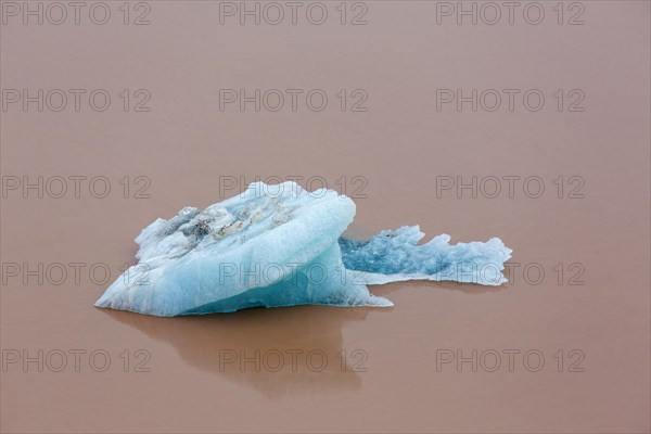 Ice floe from the Erikbreen glacier in Liefdefjorden