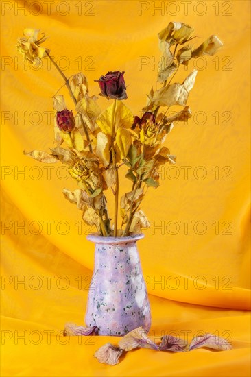 Withered bouquet of flowers against a yellow background