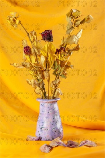 Withered bouquet of flowers against a yellow background