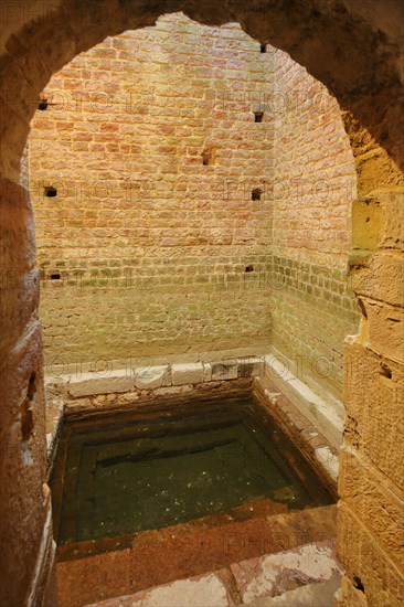 Mikvah