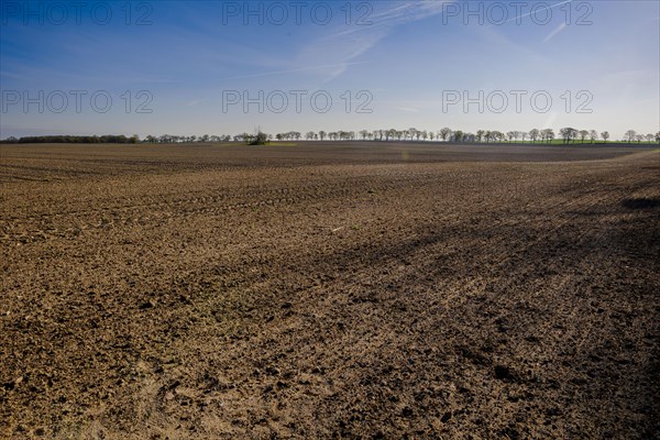 A freshly ploughed and harrowed field in Brandenburg. Grossmutz
