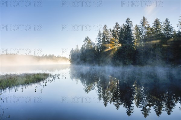 Sunrise over the mirror-smooth mire lake Etang de la Gruere in the canton of Jura