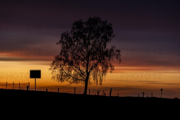 A town sign and a tree silhouetted against the setting sun