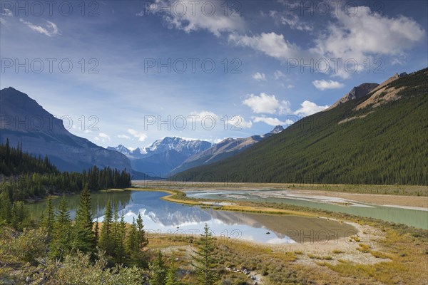 Mount Kitchener reflected in the Beauty Creek Pool near the Sunwapta River