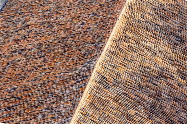 Historic tiled roof
