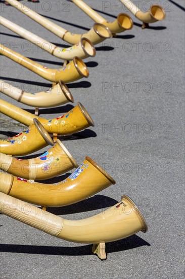 Concert with traditional alphorn instruments