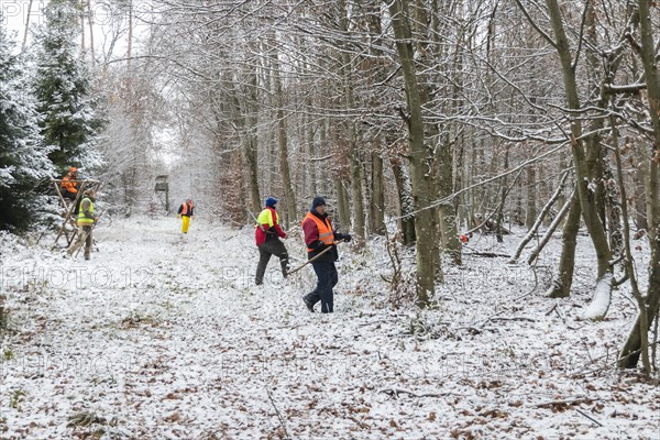 Driven hunt in Schoenbuch Nature Park