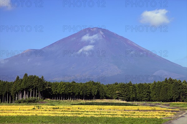 Mount Fuji and farm land Japan