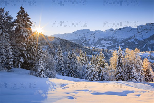 Winter sunrise with view from Ibergeregg to the Central Swiss Alps in Canton Schwyz