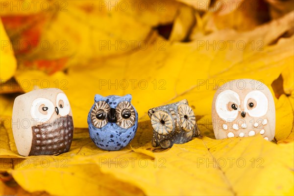 Owls Figures on Autumn Leaves