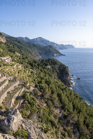 View from Torre des Verger