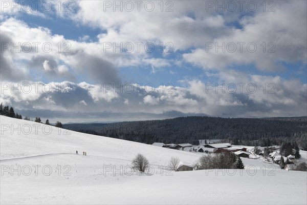 Winter landscape