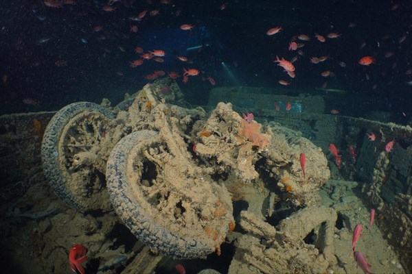 Two Norton motorbikes from the Second World War in the hold of the Thistlegorm. Dive site Thistlegorm wreck