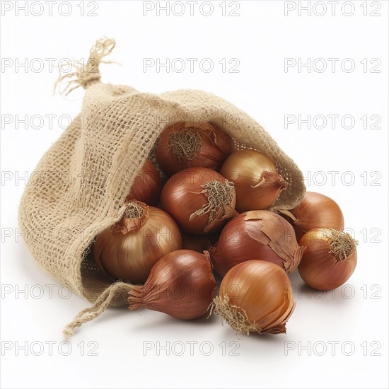 Old sack with onions