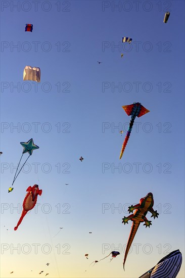 Kite festival