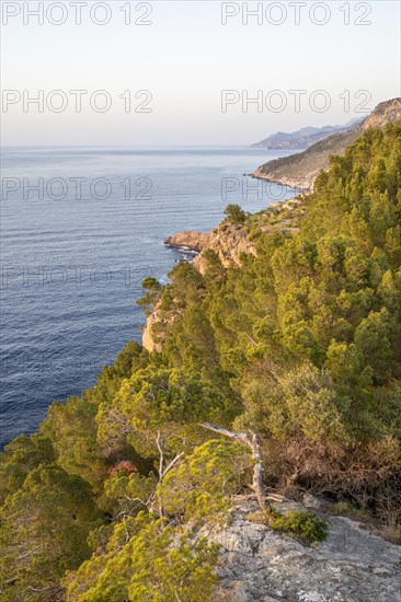 View at Torre des Verger