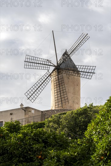 Windmill