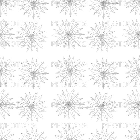 Seamelss feathers light template vector background pattern