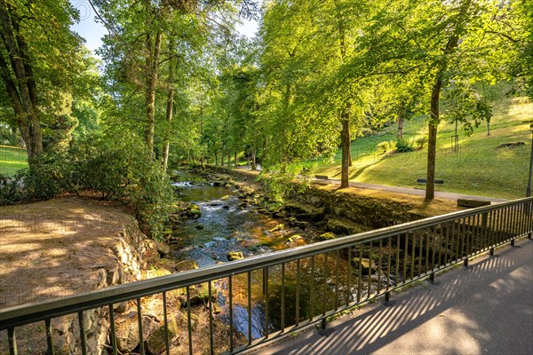 Course of the river Enz in summer