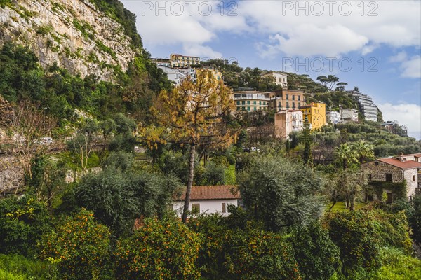 View of Sorrento hills