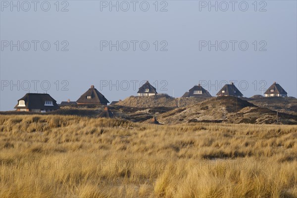 Houses with thatched roof in the dune landscape