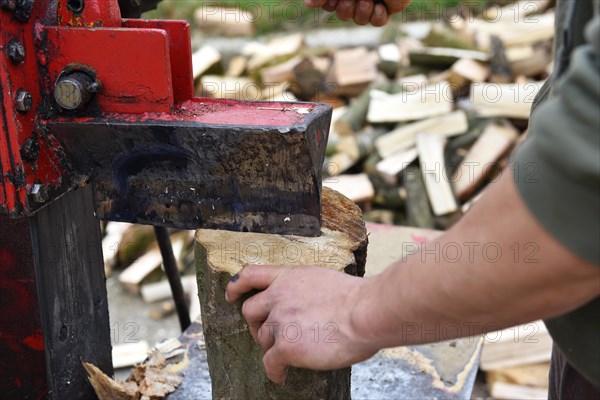 Worker making firewood with a log splitter