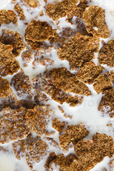 Cornflakes with milk