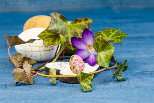 Wooden Heart with Crocus Blossom and Ivy