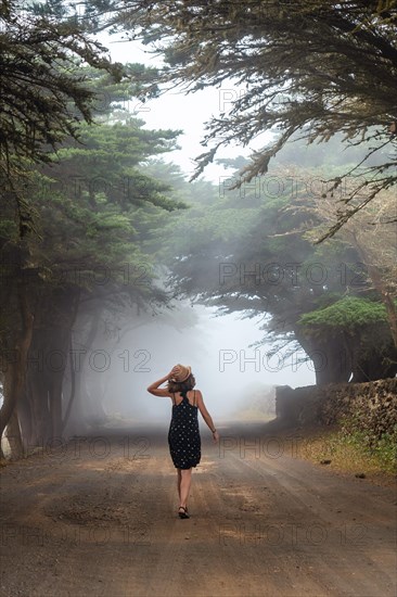 A tourist woman walking through foggy trees towards the juniper forest in El Hierro. Canary Islands