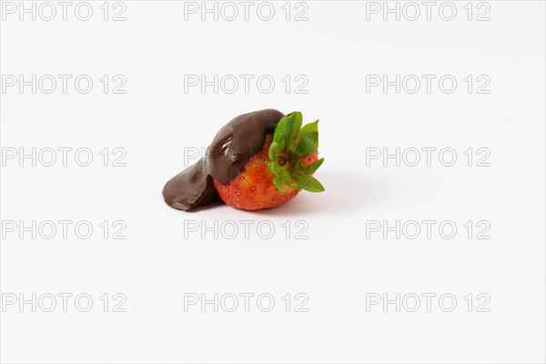 Strawberry covered with melted chocolate isolated on white background