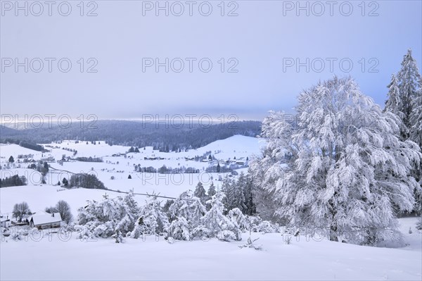 Winter in Ibach