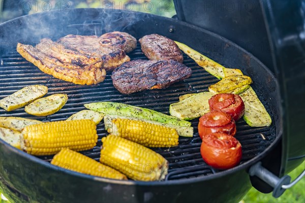 Barbecue in the garden