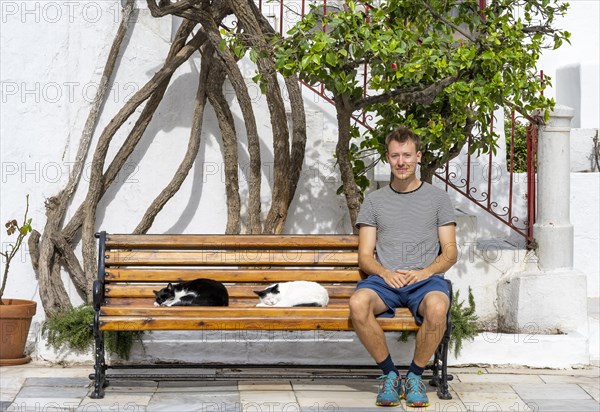 Young man sitting on a bench with sleeping cats