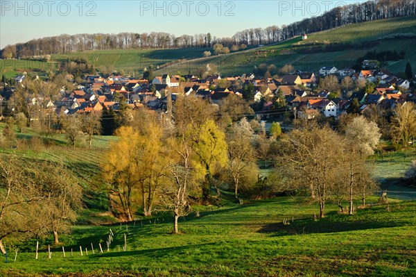 Location Feldberg