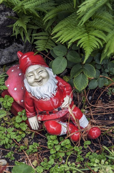 Laughing garden gnome