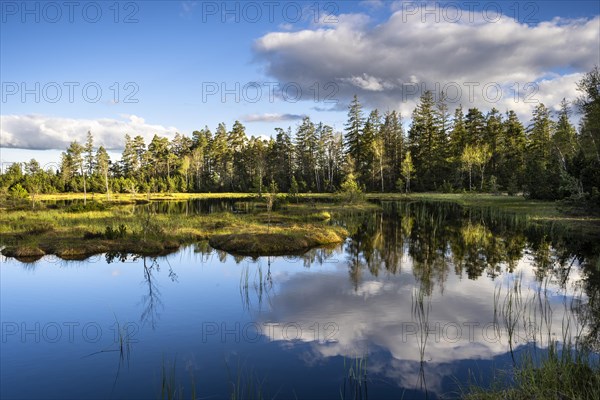 The Wildsee with its small islands in the Wildseemoor on a sunny day