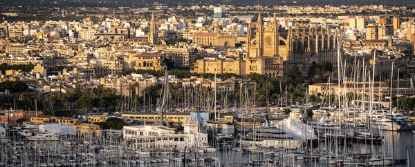 View over Palma de Majorca in the evening light